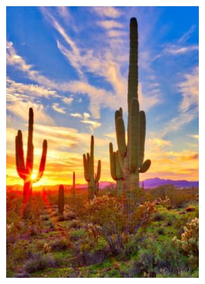 Arizona Outdoor Desert Image
