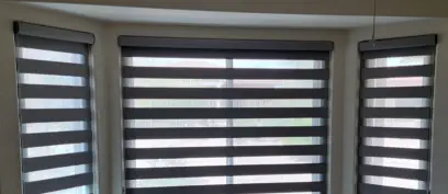 Examples of Roller Shades